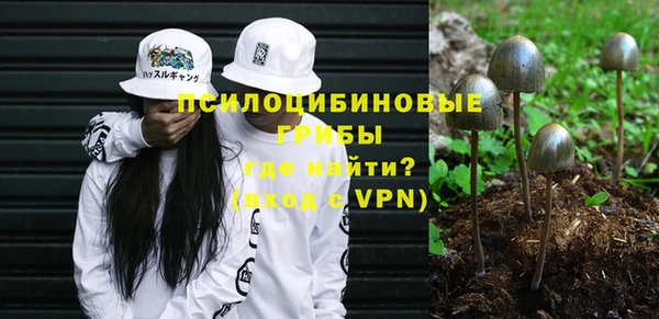герыч Алексин