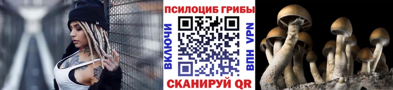 как найти   kraken ссылки  Псилоцибиновые грибы GOLDEN TEACHER  Нерехта 